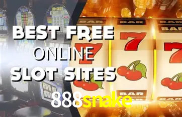 Interface Premium 888snake